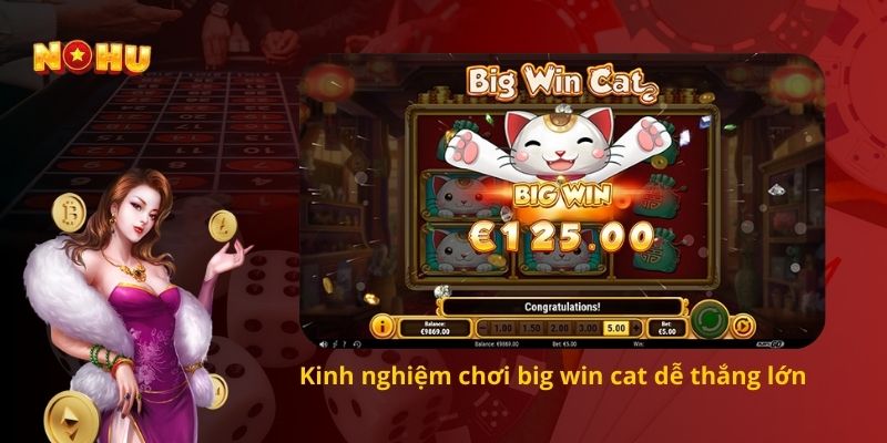 Kinh nghiệm chơi big win cat dễ thắng lớn