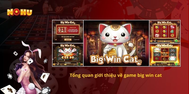 Tổng quan giới thiệu về game big win cat