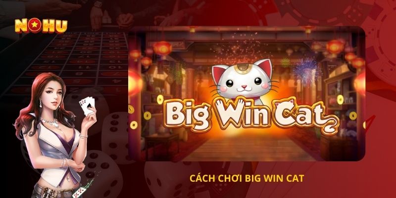 Cách chơi big win cat